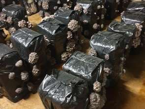 Vente Bureaux et commerces 160000 m&sup2;Tours