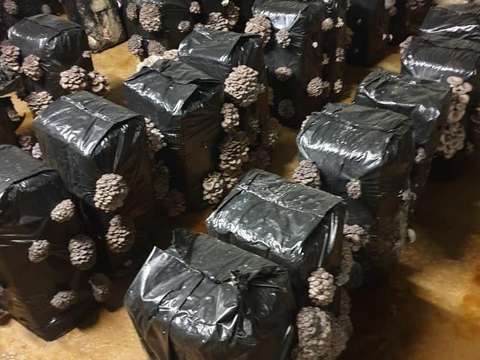 Bureaux et commerces Tours 37