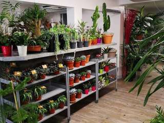 Bureaux et commerces