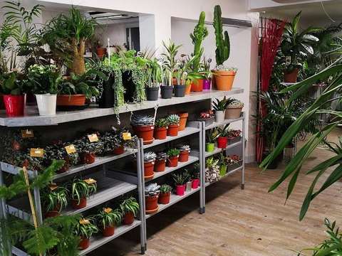 Bureaux et commerces