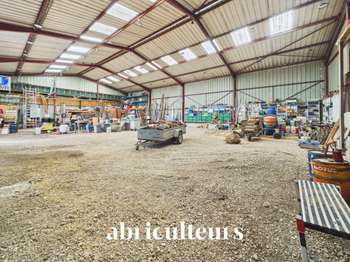 Bureaux et commerces 12 pièces