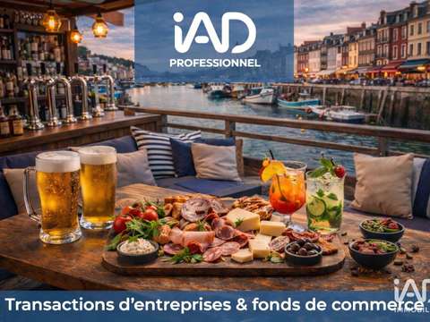 Bureaux et commerces Trouville-sur-Mer 14