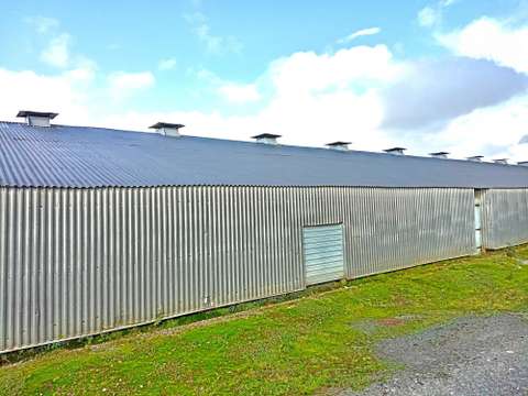 Bureaux et commerces