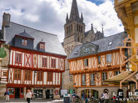 Bureaux et commerces Vannes 56