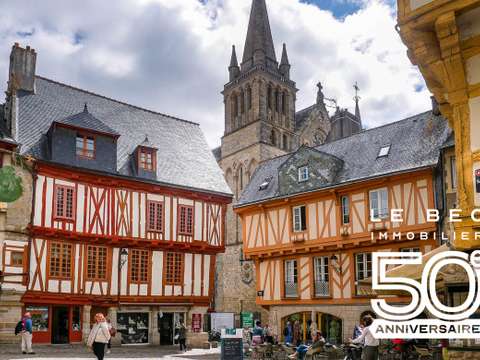 Bureaux et commerces Vannes 56