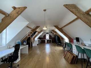 Bureaux et commerces 9 pièces