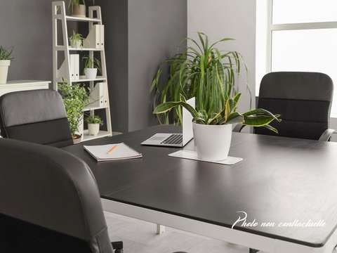 Bureaux et commerces Vitré 35