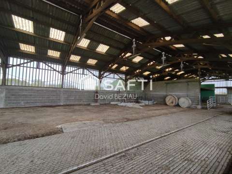 Bureaux et commerces 5 pièces