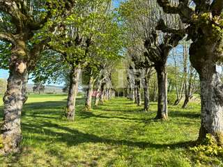 Demeure d'exception 30 pièces