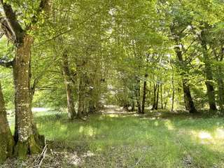 Demeure d'exception 16 pièces