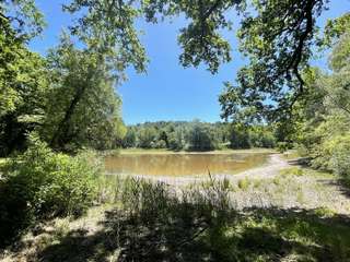 Demeure d'exception 16 pièces