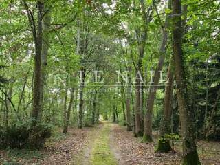 Demeure d'exception 18 pièces