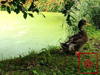 Demeure d'exception 13 pièces