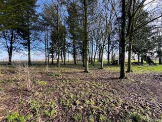 Demeure d'exception 6 pièces