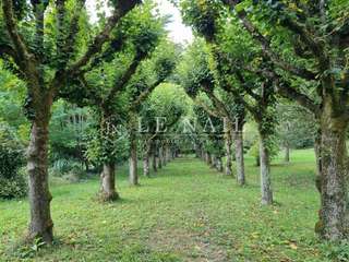 Demeure d'exception 15 pièces