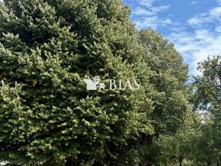 Demeure d'exception 7 pièces