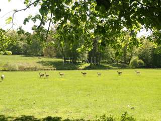 Demeure d'exception 20 pièces