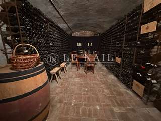 Demeure d'exception 13 pièces