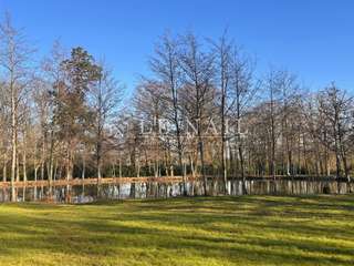 Demeure d'exception 13 pièces