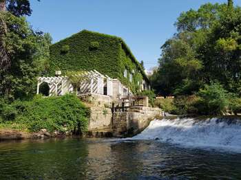Vente Demeure d'exception 10 chambresCarcassonne