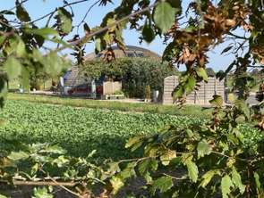 Vente Demeure d'exception 4 chambresChamprond-en-Gâtine