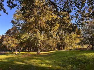 Demeure d'exception 17 pièces