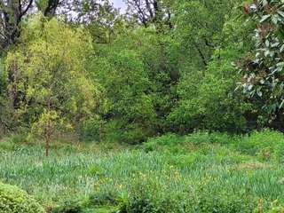 Demeure d'exception 10 pièces