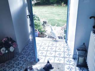 Demeure d'exception 10 pièces