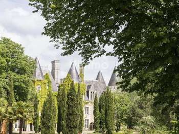 Vente Demeure d'exception 21 piècesCourcelles-de-Touraine