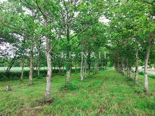 Demeure d'exception 18 pièces