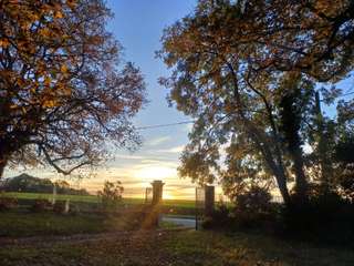 Demeure d'exception 11 pièces