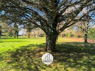 Demeure d'exception 8 pièces