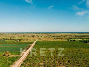 Vente Demeure d'exception 11 chambresGruissan