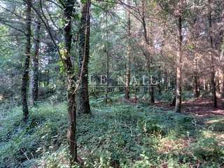 Demeure d'exception 25 pièces