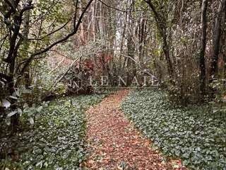 Demeure d'exception 9 pièces