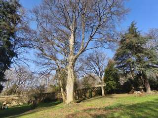 Demeure d'exception 26 pièces