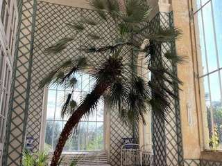 Demeure d'exception 11 pièces