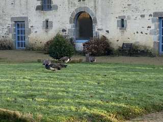 Demeure d'exception 8 pièces