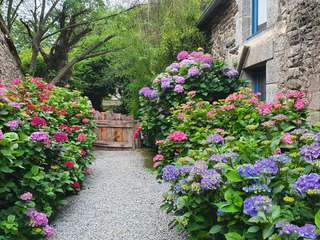 Demeure d'exception 10 pièces