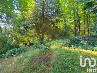 Demeure d'exception 7 pièces