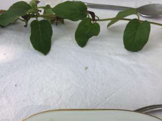 Demeure d'exception 16 pièces