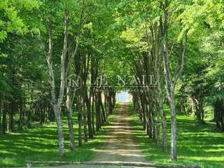 Demeure d'exception 6 pièces