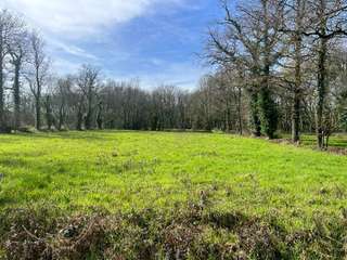 Demeure d'exception 8 pièces