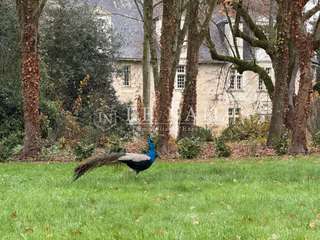 Demeure d'exception 20 pièces