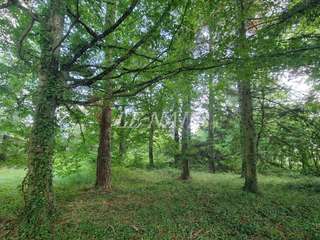 Demeure d'exception 17 pièces