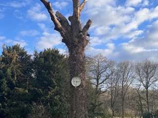 Demeure d'exception 12 pièces