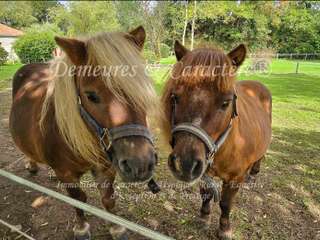 Demeure d'exception 9 pièces