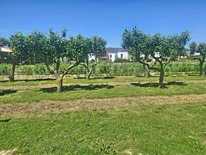Vente Demeure d'exceptionLes Sables-d'Olonne