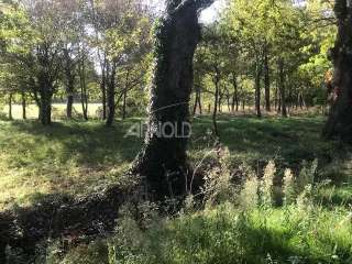 Demeure d'exception 16 pièces