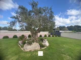 Demeure d'exception 9 pièces